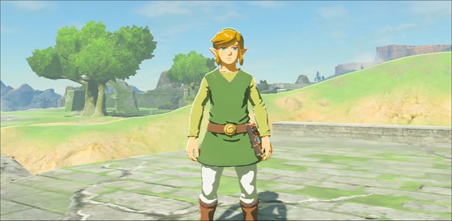 Breath of the Wild - Wind Waker Outfit