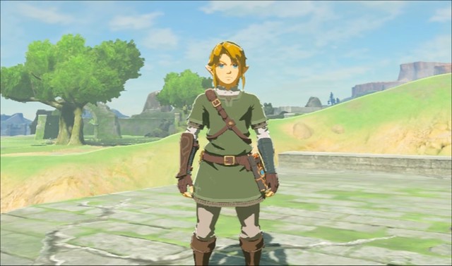 Breath of the WIld - Twilight Princess Outfit