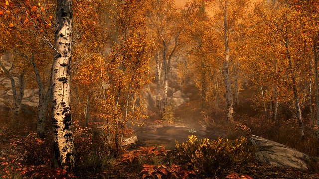 Skyrim 4K Forest on PS4 Pro