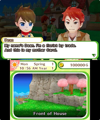 Harvest Moon: Skytree Village