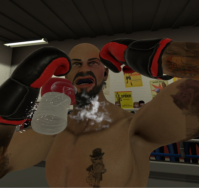 The Thrill of the Fight - Straight Punch