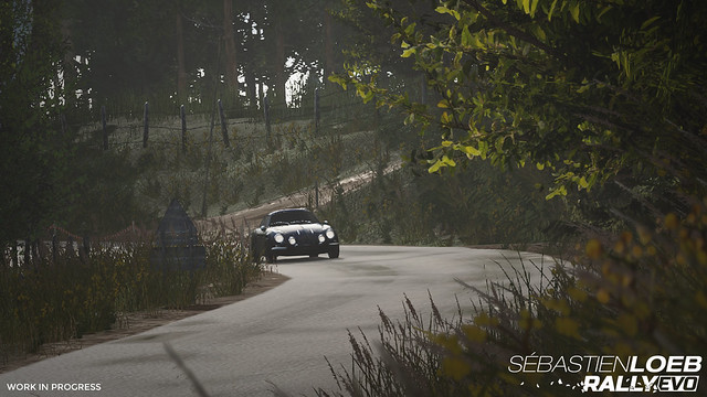 Sebastien Loeb Evo Rally