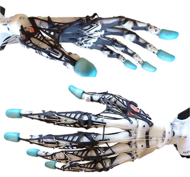 Biomimetic Prosthetic