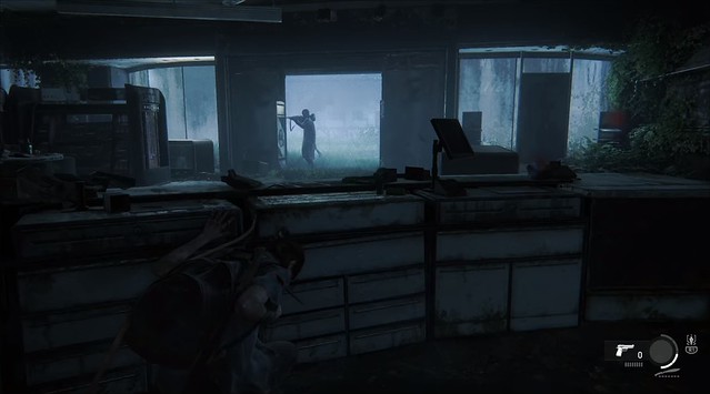 Last of Us 2 - Ellie Arrow Health