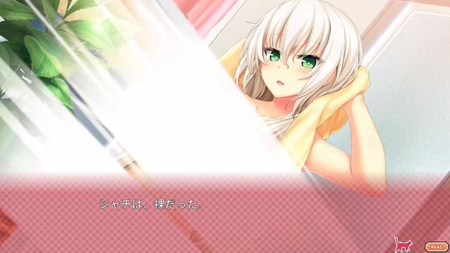 Nora to Oujo to Noraneko Heart - PS4 Version