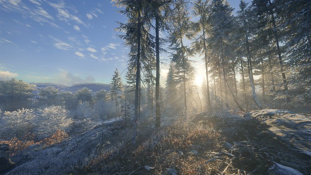 TheHunter Call of the