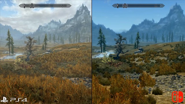 Skyrim - PS4 vs Switch Foliage