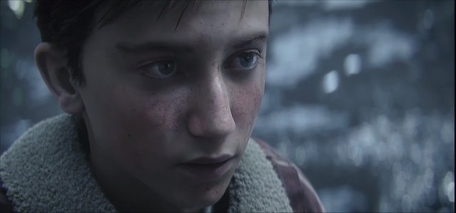 Call of Duty WW2 - Wolves Den