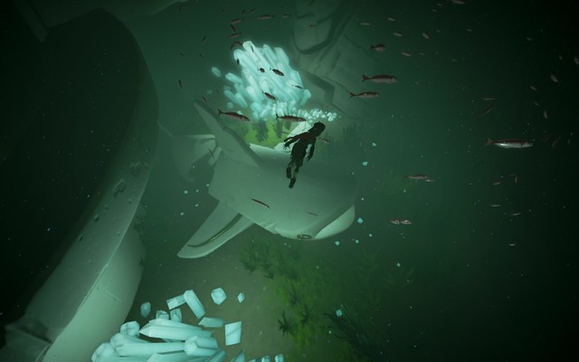 Rime - Underwater Journey