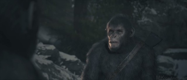 Planet of the Apes The Last Frontier – Tola
