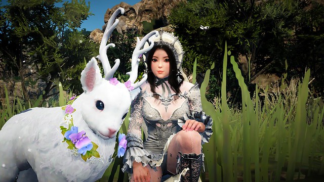 Black Desert Online - Reindeer and a Waifu