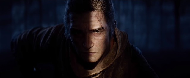Sekiro Shadows Die Twice - Wolf