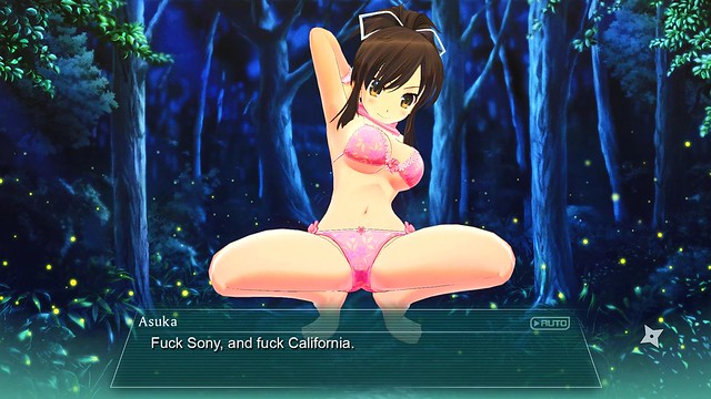 Senran Kagura Burst Renewal - California
