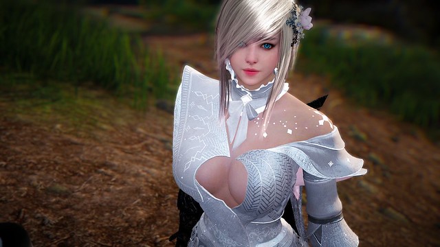 Black Desert Online - Window of Opportunity
