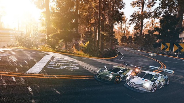 Xenon Racer - Canadian Forest