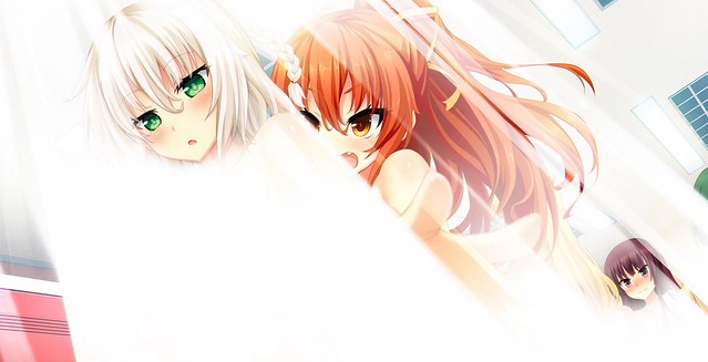 Nora to oujo to Noraneko Heart PS4 Censorship