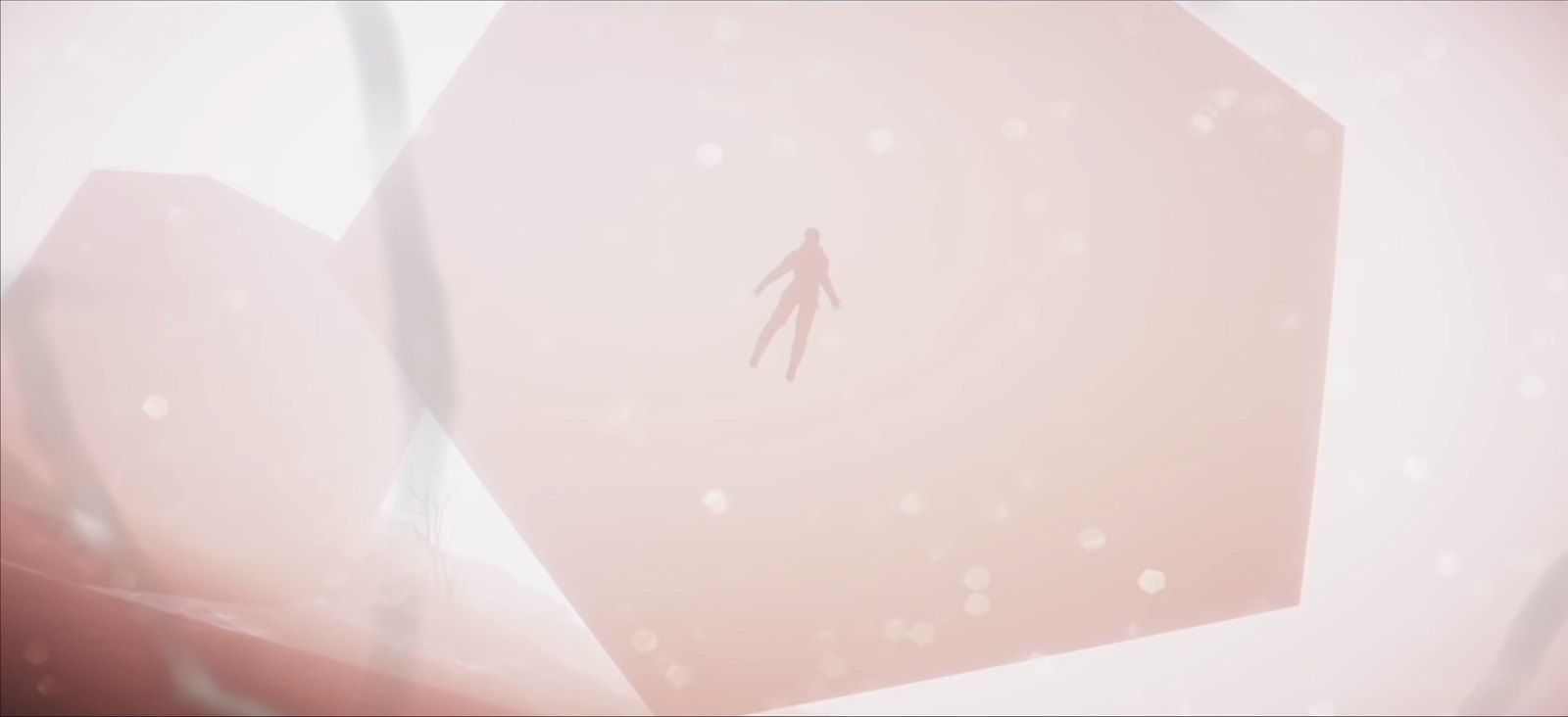 Observation - Ascension