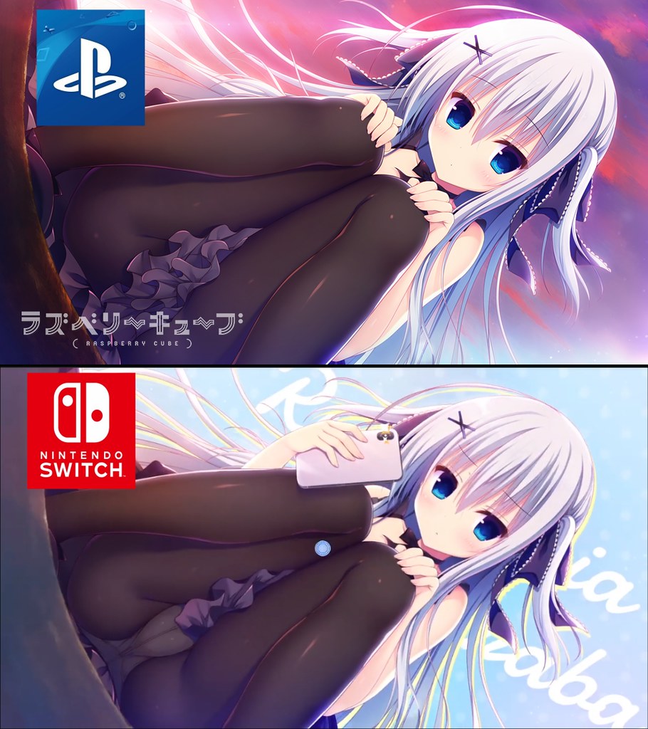 Raspberry Cube - PS4 vs Switch Censorship