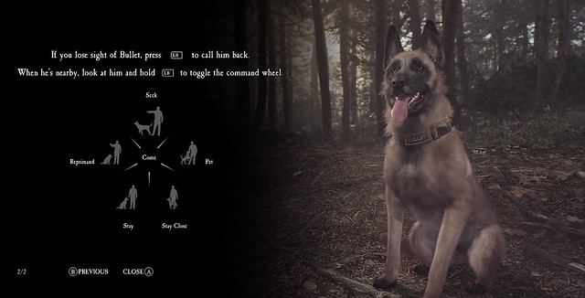 Blair Witch - Bullet Controls