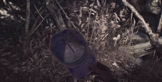 Blair Witch - Pete's Cap