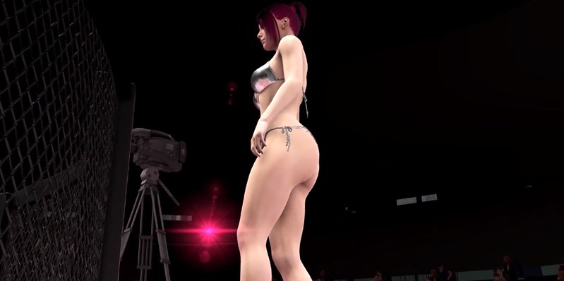 Ultimate MMA - Ring Girl