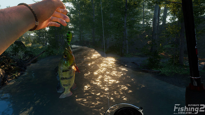 Ultimate Fishing Simulator 2 02 (press material)