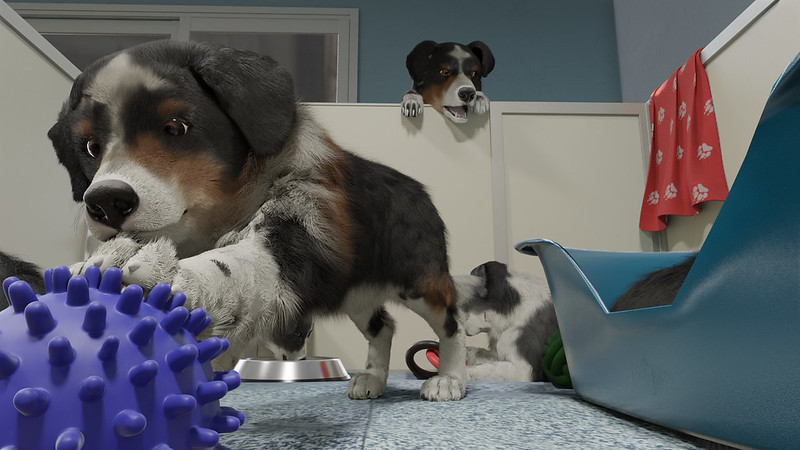 Dog Trainer – Puppies