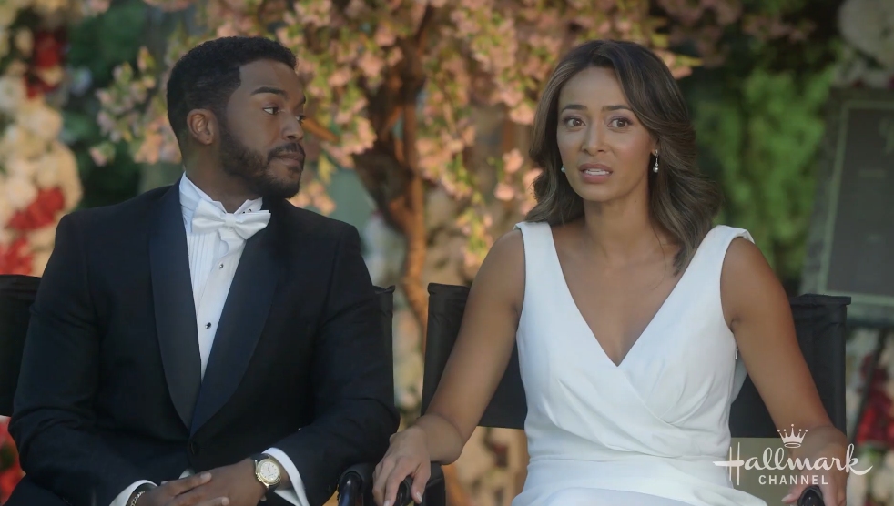 Wedding Every Weekend - Biracial Wedding