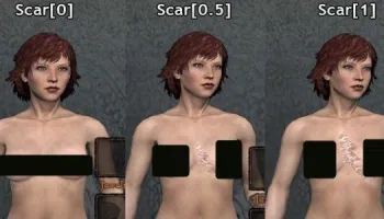 Dragon’s Dogma Nude Mods And ENB Mods Are Available