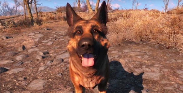How To Do Dogmeat Duplication Glitch In Fallout 4 After Patch 1.4