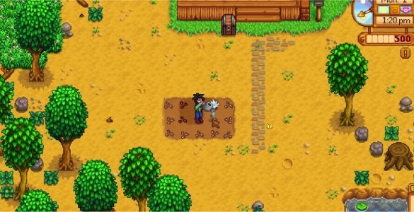Stardew Valley How To Plant Seeds And Grow Crops