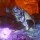 Destiny Rise Of Iron: Here’s How To Get To Light Level 400 In Update 2.4.1