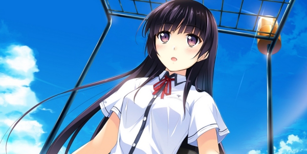 If My Heart Had Wings -Flight Diary- Steam Release Delayed Due To Valve