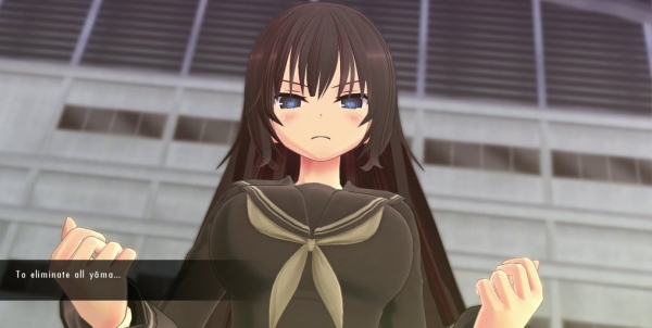 Senran Kagura Burst Re:Newal DLC Adds Kagura, Naraku, And Ryoki For Free