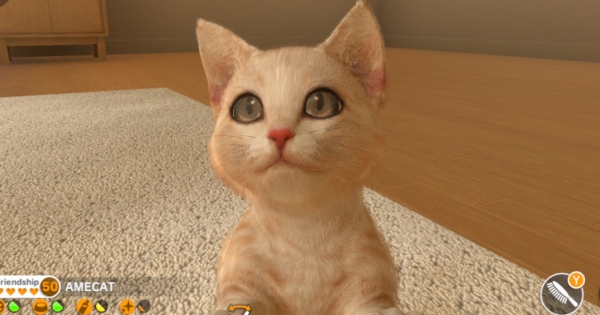 Little Friends: Dogs And Cats, Realistic Pet Sim Coming Exclusively To Nintendo Switch This Spring