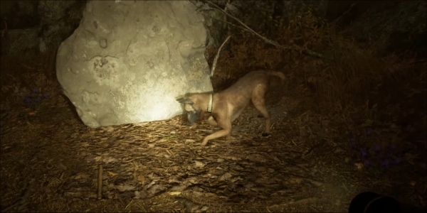 Balir Witch Gameplay Trailer Briefly Shows How To Make Use Of Dog Commands