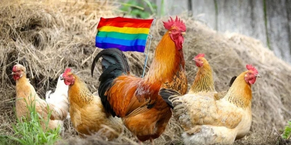 Chick-Fil A No Longer Supporting Christian Charity Organizations In 2020
