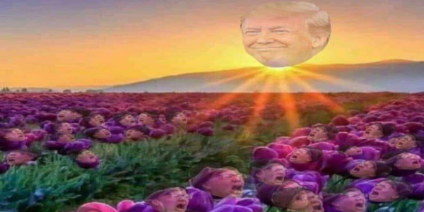 CBC TV So Triggered They Remove Trump from Home Alone 2 Airing