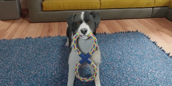Dog Trainer Lets You Breed And Train Dogs