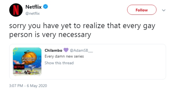 Netflix Openly Admits To Promoting The Gay Agenda